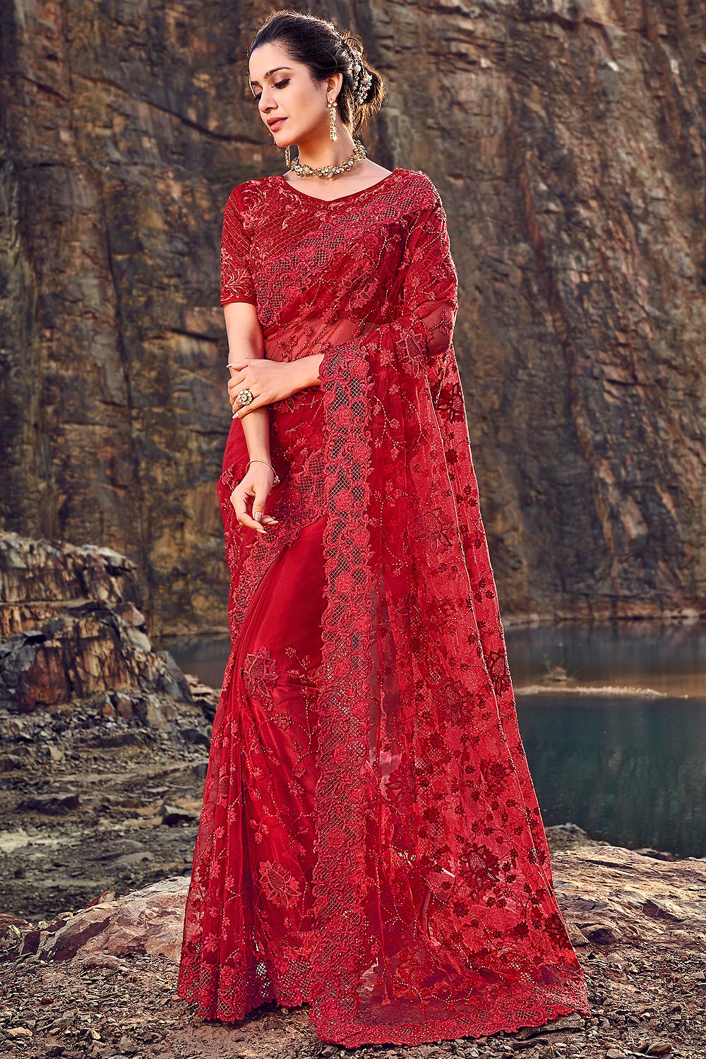 red net party wear saree