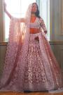 Rosewood Pink Net Embroidered Lehenga Set