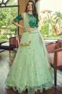 Light Green Net Embroidered Lehenga Set