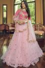 Light Pink Net Embroidered Lehenga Set