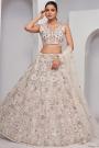 Ivory Net Embroidered Lehenga Set