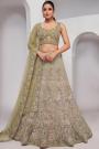 Olive Green Net Embroidered Lehenga Set