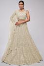 Ivory Net Embroidered Lehenga Set