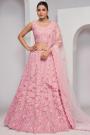 Soft Pink Net Embroidered Lehenga Set