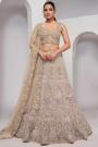 Beige Net Embroidered Lehenga Set