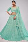 Aqua Net Embroidered Lehenga Set