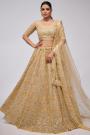 Gold Beige Net Embroidered Lehenga Set