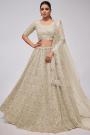 Ivory Net Embroidered Lehenga Set