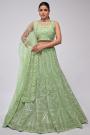 Kiwi Green Net Embroidered Lehenga Set