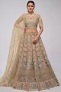 Beige Net Embroidered Lehenga Set