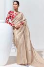 Light Beige Glass Tissue Organza Silk Embroidered Saree