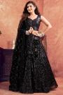 Black Net Embroidered Lehenga Set