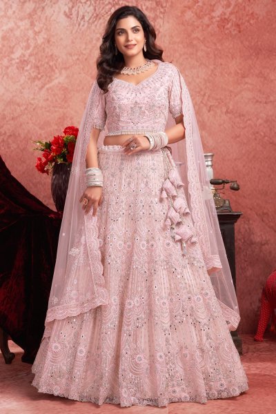 Light Pink Net Handwork Embroidered Lehenga Set