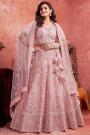 Blush Pink Net Handwork Embroidered Lehenga Set