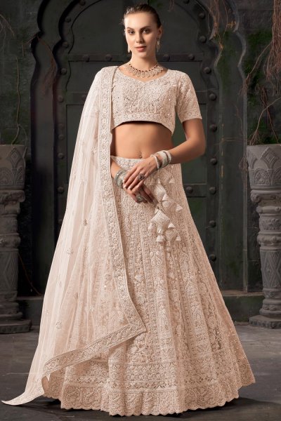 Beige Net Embroidered Lehenga Set