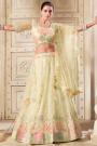 Deep Ivory Net Embroidered Lehenga Set