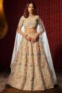 Ivory Georgette Embroidered Lehenga Set