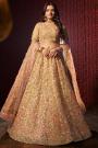 Cream Beige Net Embroidered Lehenga Set