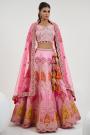 Pink Silk Embroidered & Handworked Lehenga Set