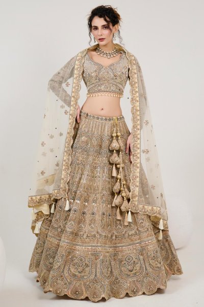 Golden Beige Net Embroidered & Handworked Lehenga Set