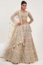 Ivory Gold Net Embroidered & Handworked Lehenga Set