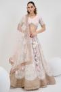 Ivory & Baby Pink Net Embroidered & Handworked Lehenga Set