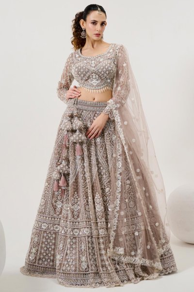 Warm Taupe Net Embroidered & Handworked Lehenga Set