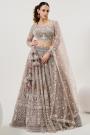 Warm Taupe Net Embroidered & Handworked Lehenga Set