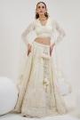 Ivory Net Embroidered & Handworked Lehenga Set