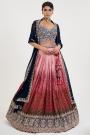 Maroon & Multicolor Jacquard Silk Printed,Embroidered & Handworked Lehenga Set