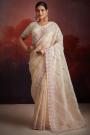 Vanilla Net Embroidered Saree