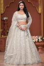 Ivory Net Embroidered Lehenga Set