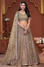 Beautiful Gold Net Embroidered Lehenga Set